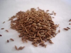 Cumin Seeds (Jeera)