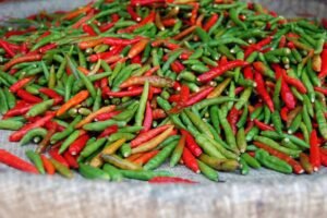 Fresh Chilies Fresh Chilies