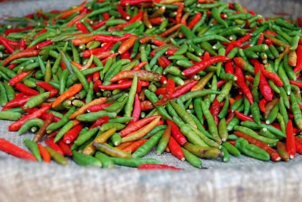 Fresh Chilies