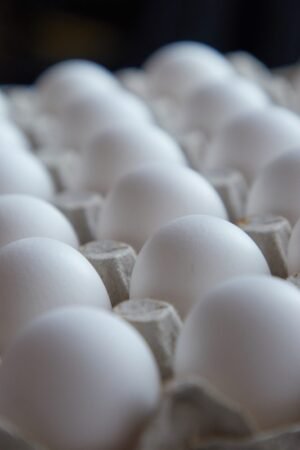 Fresh Eggs (Tray of 30) Fresh Eggs (Tray of 30)