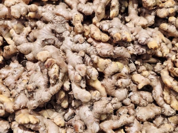 Fresh Ginger Fresh Ginger