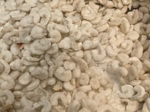 Fresh Peeled Shrimp