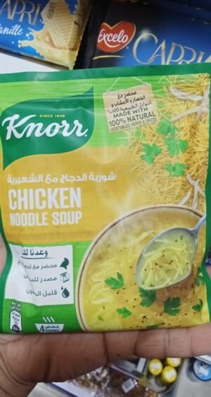 Knorr Chicken Noodle Soup Knorr Chicken Noodle Soup