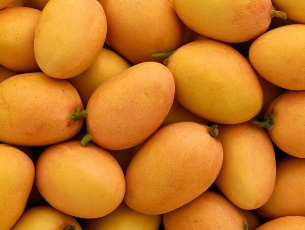 Mangoes
