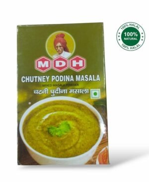 MDH Chutney Podina Masala 100g MDH Chutney Podina Masala 100g