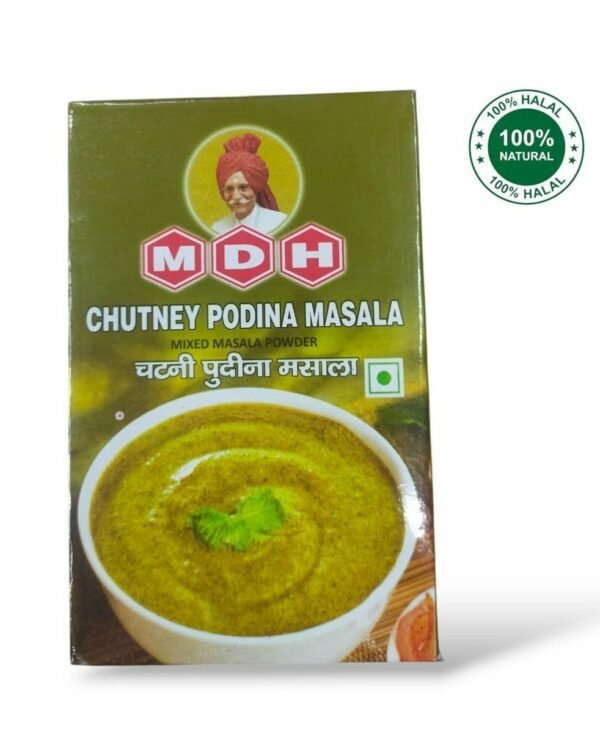 MDH Chutney Podina Masala 100g