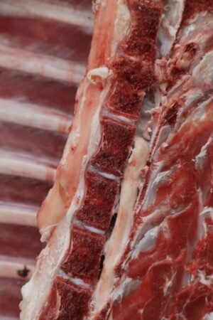 Mutton / Goat Meat (Curry Cut) Mutton / Goat Meat (Curry Cut)