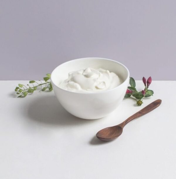 Plain Yogurt (Dahi)